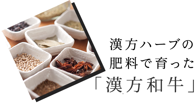 「漢方牛」
